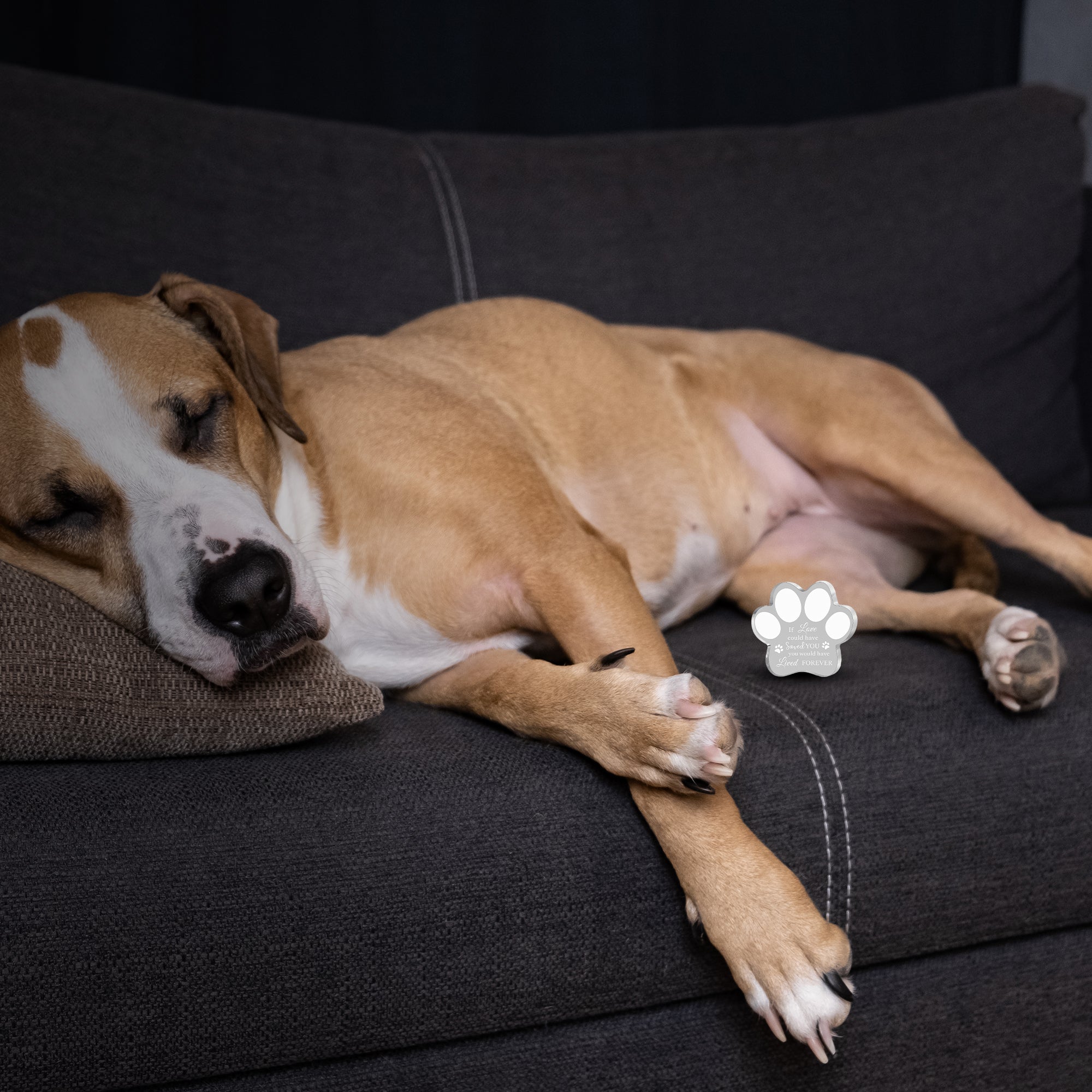 Crystal Paw-Shaped Acrylic Pet Memorial Plaque - Heartfelt Pet Keepsake
