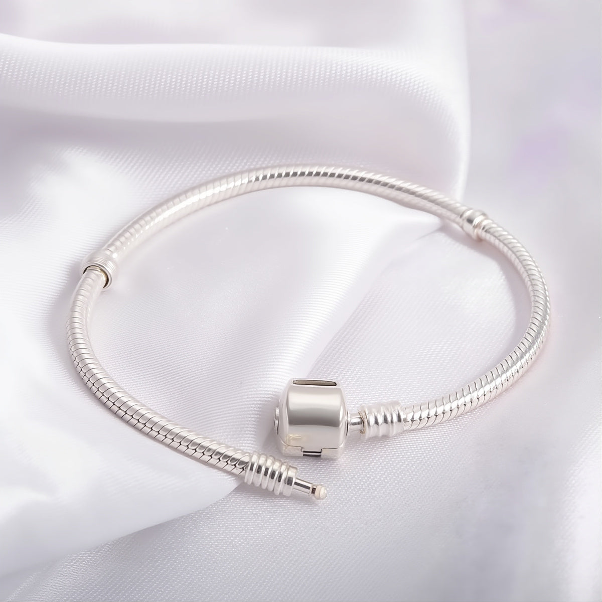 Pet Ashes Keepsake Bracelet | Classic Bucket Buckle Bracelet