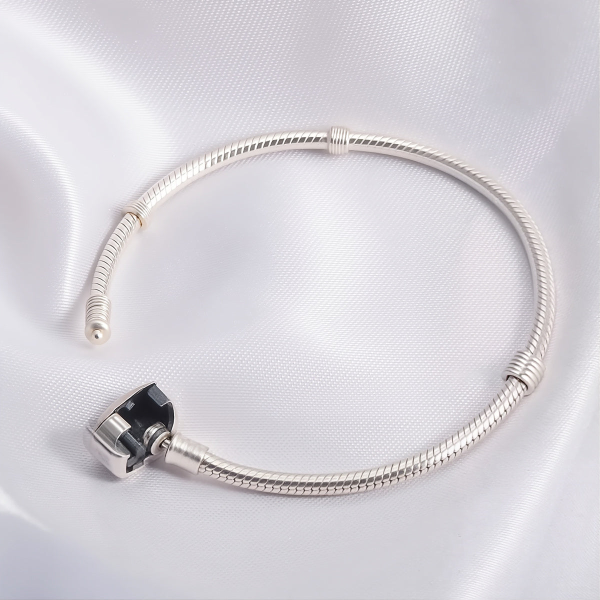 Pet Ashes Keepsake Bracelet | Classic Bucket Buckle Bracelet