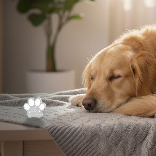 Crystal Paw-Shaped Acrylic Pet Memorial Plaque - Heartfelt Pet Keepsake